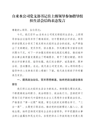 自来水公司党支部书记在上级领导参加指导组织生活会后的表态发言20260316