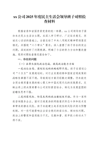 公司2025年度民主生活会领导班子对照检查材料