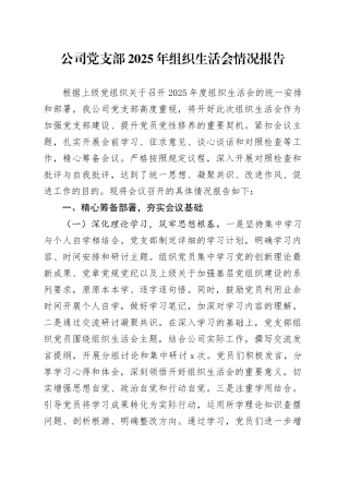 公司党支部2025年组织生活会情况报告