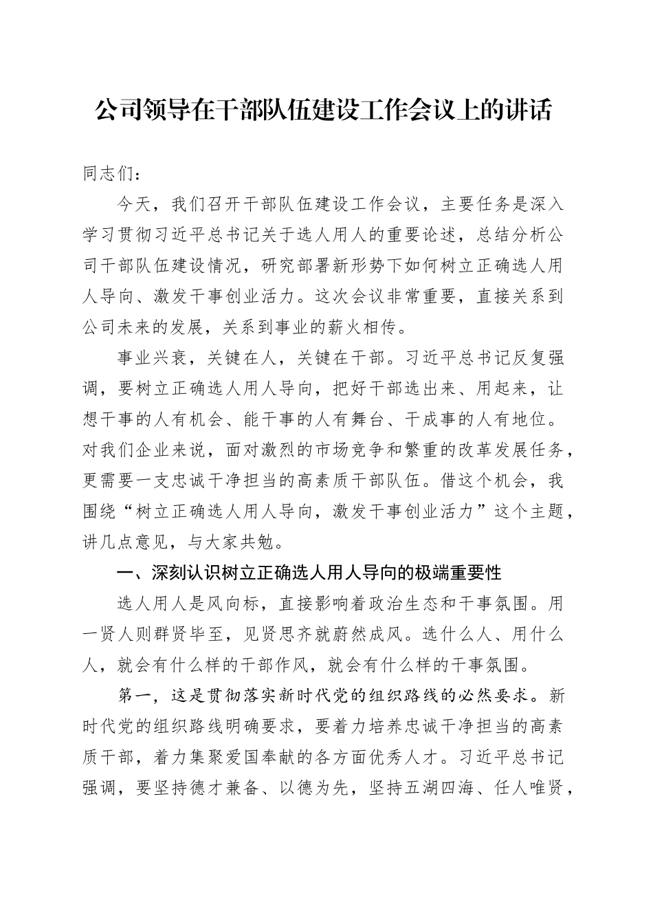 公司领导在干部队伍建设工作会议上的讲话_第1页