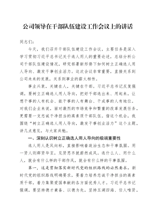 公司领导在干部队伍建设工作会议上的讲话