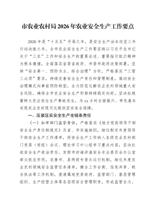 市农业农村局2026年农业安全生产工作要点