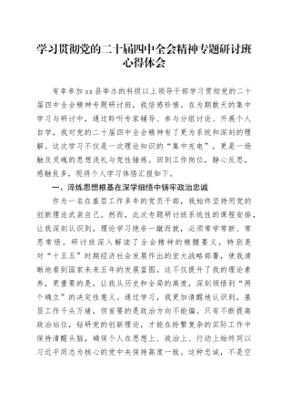 学习贯彻党的二十届四中全会精神专题研讨班心得体会