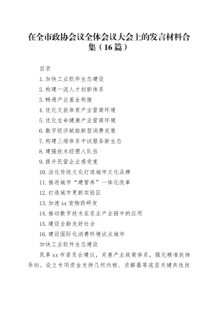 在全市政协会议全体会议大会上的发言材料合集（16篇）