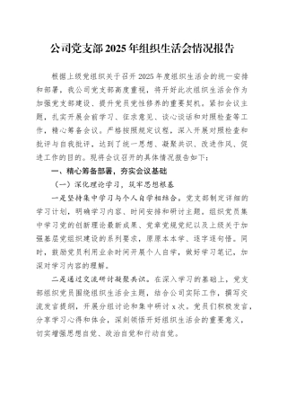 公司党支部2025年组织生活会情况报告