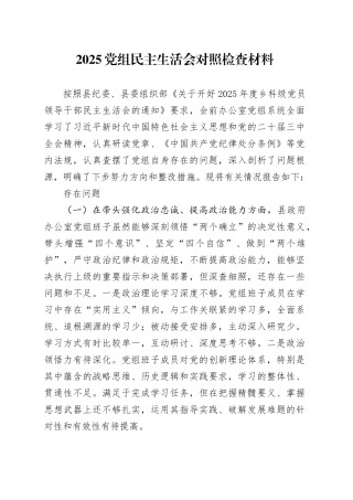 2025党组民主生活会对照检查材料